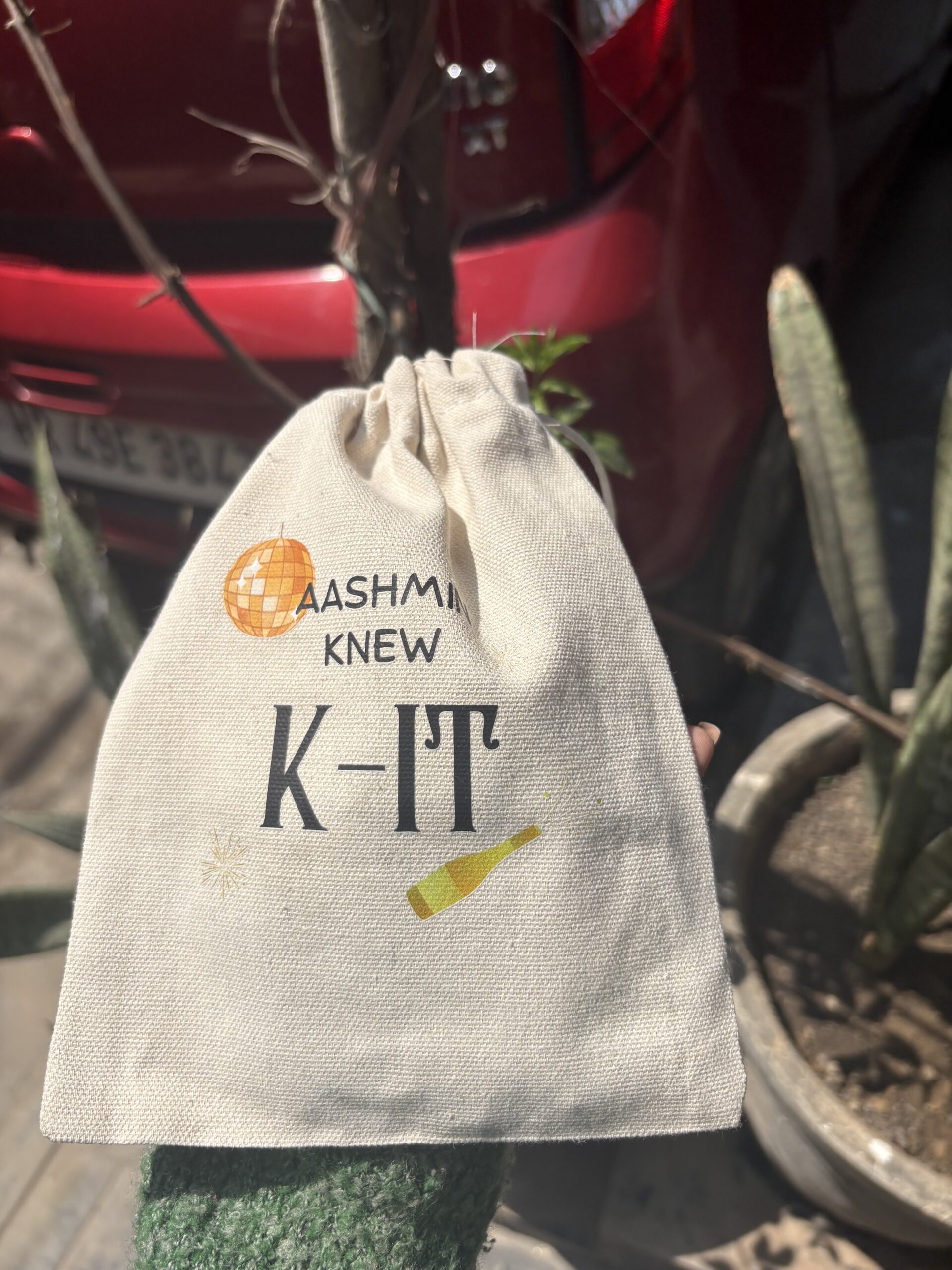 Customised Potli Hangover Kit Bags – Traditional Wedding Recovery Kit - Image 3